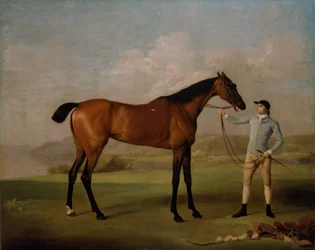 Molly Long-legs avec son jockey